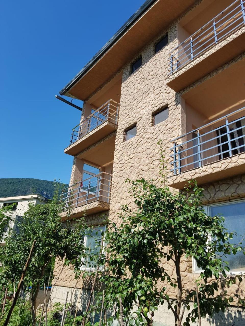 Guesthouse On Sovhoznaya 18 Gagra Dış mekan fotoğraf