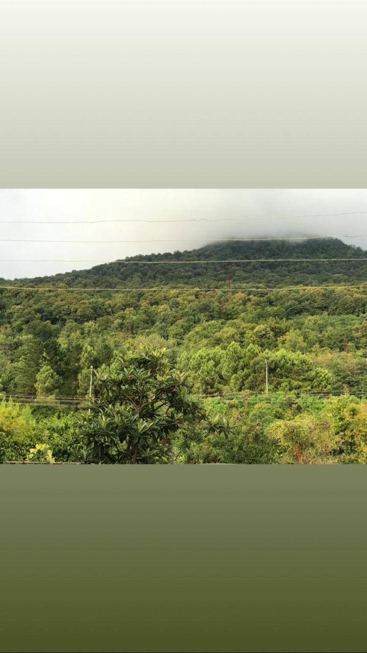Guesthouse On Sovhoznaya 18 Gagra Dış mekan fotoğraf